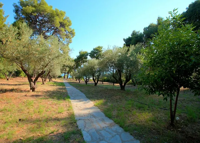 شقة Chalkidiki Beachfront Haven - Perfect Location *