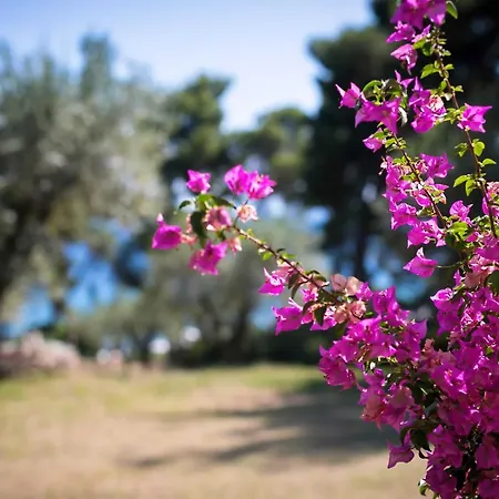 Chalkidiki Beachfront Haven - Perfect Location شقة *