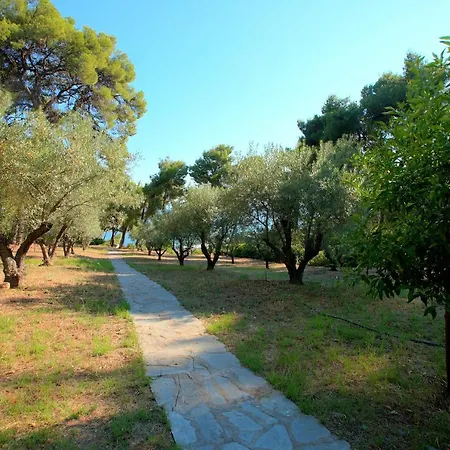 Apartment Chalkidiki Beachfront Haven - Perfect Location *