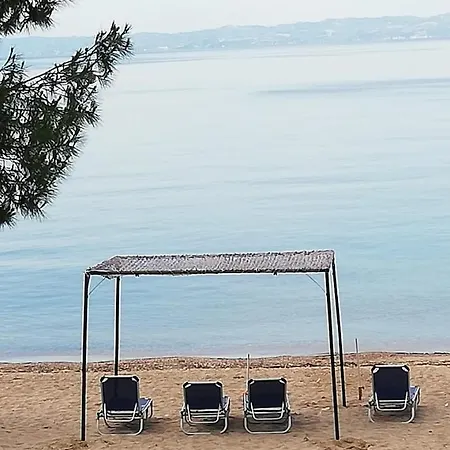Chalkidiki Beachfront Haven - Perfect Location Apartment Nikiti (Sithonia)
