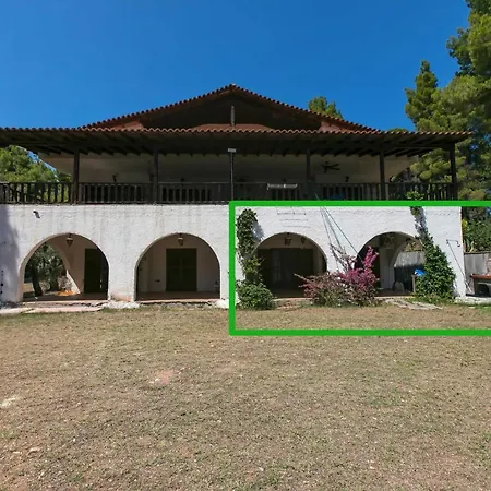 Apartment Chalkidiki Beachfront Haven - Perfect Location