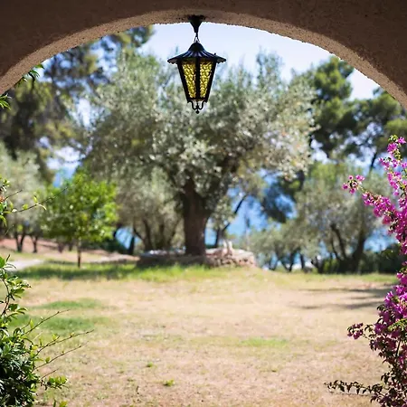 Chalkidiki Beachfront Haven - Perfect Location * 尼基季