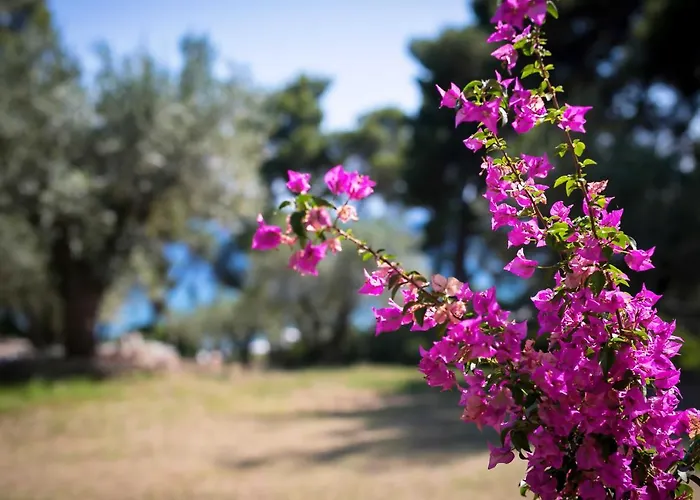 Chalkidiki Beachfront Haven - Perfect Location 公寓 *